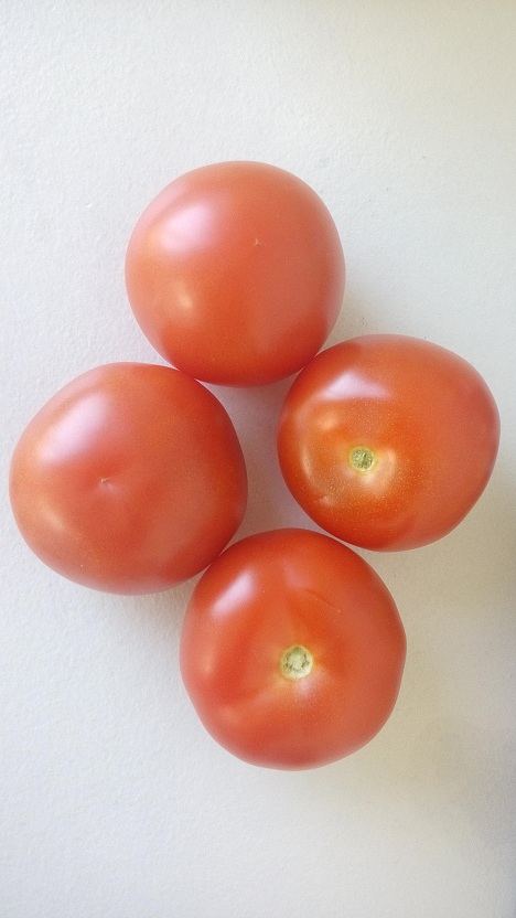 Fresh tomota in Pak'nSave